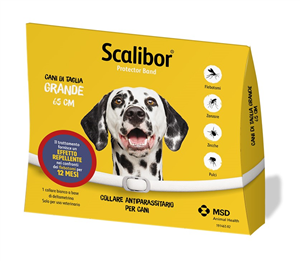 SCALIBOR PROTECTOR BAND*BI65CM - Farmacia Del Monaco
