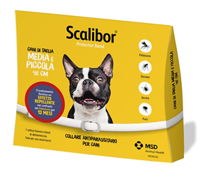 SCALIBOR PROTECTOR BAND*BI48CM - Farmacia Del Monaco