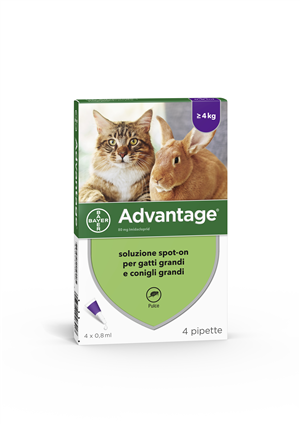 ADVANTAGE*4PIP 0,8ML SPOTON - Farmacia Del Monaco