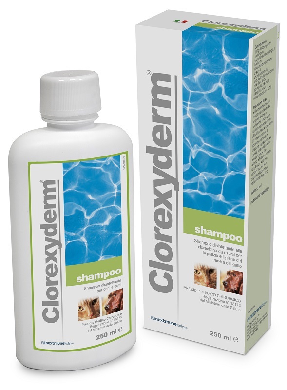 CLOREXYDERM SHAMPOO 250 ML - Farmacia Del Monaco