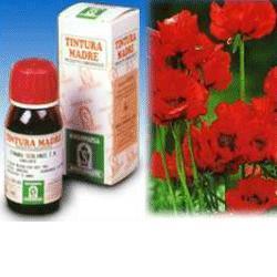 PAPAVERO CALIFORNIA 13 50ML TM - Farmacia Del Monaco