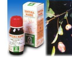 QUERCIA MARI 14 50ML TM - Farmacia Del Monaco