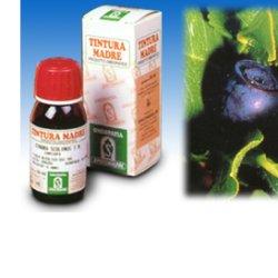 MIRTILLO 31 50ML TM - Farmacia Del Monaco