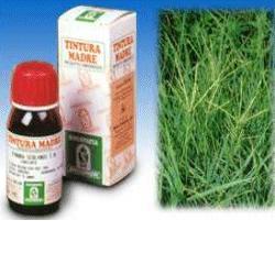 GRAMIGNA 37 50ML TM - Farmacia Del Monaco