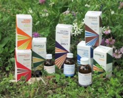 RAEMIL PROPOLI COMPOSTO 15 ML - Farmacia Del Monaco