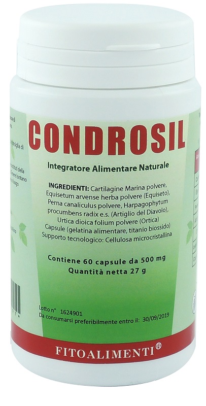 CONDROSIL 60 CAPSULE - Farmacia Del Monaco