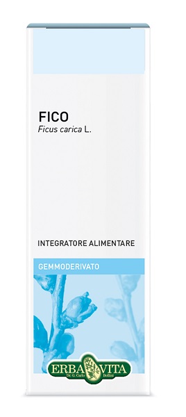GEMMODERIVATO FICO 50 ML - Farmacia Del Monaco