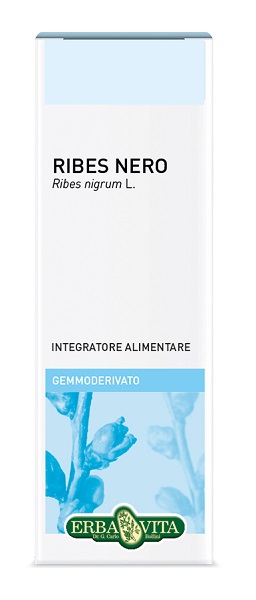 GEMMODERIVATO RIBES NERO 50 ML - Farmacia Del Monaco