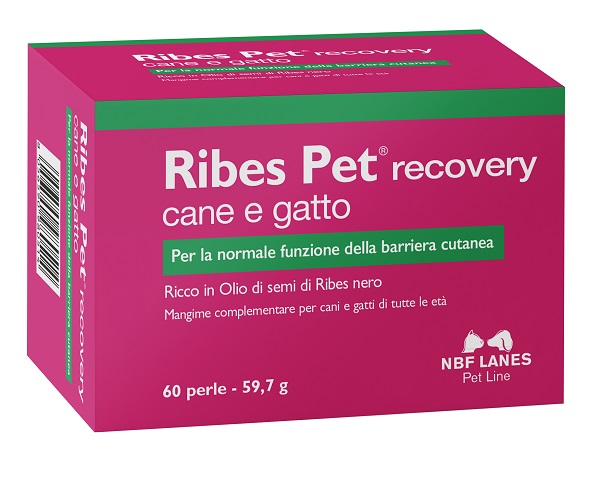 RIBES PET RECOVERY BLISTER 60 PERLE - Farmacia Del Monaco