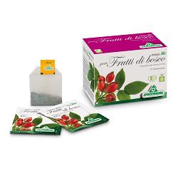 INFUSO BIO FRUTTA FRUTTI DI BOSCO 20 FILTRI - Farmacia Del Monaco
