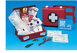 CASSETTA PRONTO SOCCORSO FAMILY PER CAMPEGGIO, BRICOLAGE, CASA E UFFICIO. CONTENITORE IN ABS ANTIURTO CON SUPPORTO PER IL FISSAGGIO ALLA PARETE - Farmacia Del Monaco