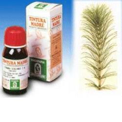EQUISETO 12 50ML TM - Farmacia Del Monaco