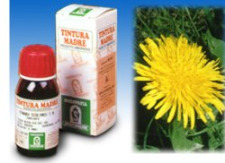 TARASSACO 28 50ML TM - Farmacia Del Monaco
