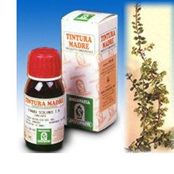 UVA URSINA 30 50ML TM - Farmacia Del Monaco