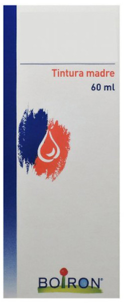 THUYA OCCIDENTALIS TINTURA MADRE 60 ML - Farmacia Del Monaco