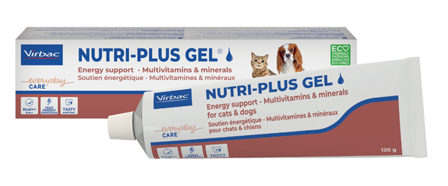 NUTRIPLUS GEL PASTA ORALE 120 G - Farmacia Del Monaco
