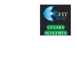 CYNARA SCOLYMUS ESTRATTO FLUIDO 30 ML - Farmacia Del Monaco