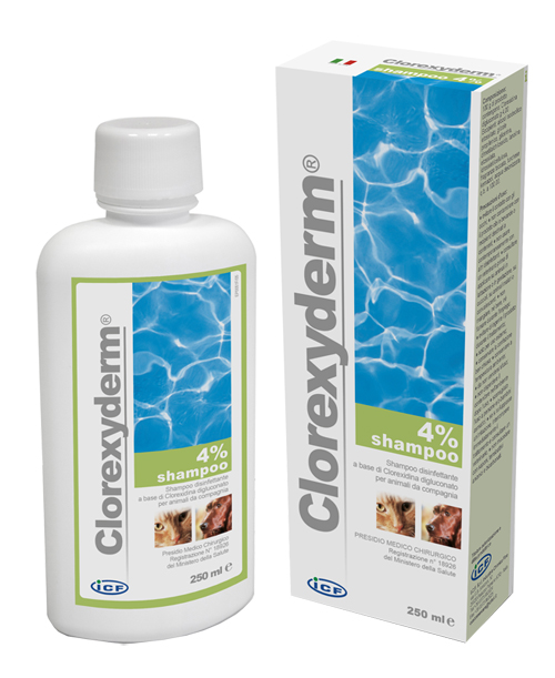 CLOREXYDERM SHAMPOO 4% 250 ML - Farmacia Del Monaco