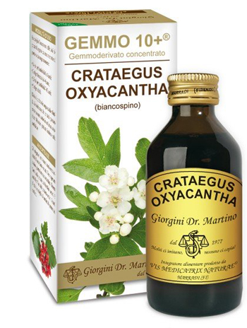 GEMMO 10+ BIANCOSPINO LIQUIDO ANALCOLICO 100 ML - Farmacia Del Monaco