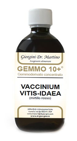 GEMMO 10+ MIRTILLO ROSSO LIQUIDO ANALCOLICO 500 ML - Farmacia Del Monaco