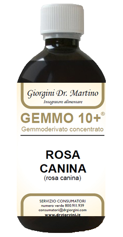 GEMMO 10+ ROSA CANINA LIQUIDO ANALCOLICO 500 ML - Farmacia Del Monaco