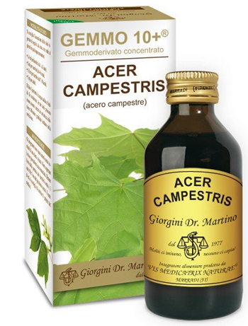 GEMMO 10+ ACERO CAMPESTRE 100 ML LIQUIDO ANALCOLICO - Farmacia Del Monaco