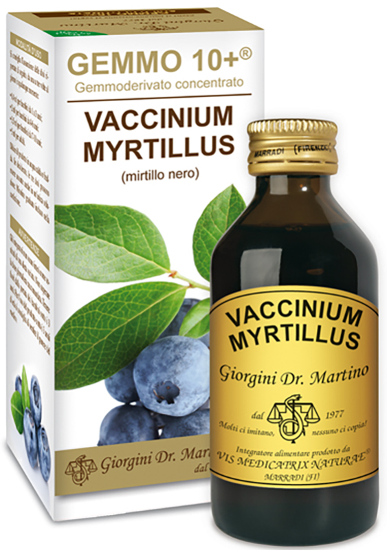 GEMMO 10+ GEMMODERIVATO CONCENTRATO VACCINIUM MYRTILLUS MIRTILLO NERO SENZA ALCOOL 100 ML - Farmacia Del Monaco