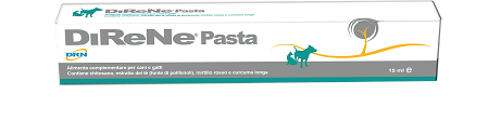 DIRENE PASTA 15 ML - Farmacia Del Monaco