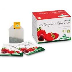 INFUSO BIO FRAGOLA E LAMPONE 20 FILTRI - Farmacia Del Monaco