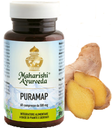 PURAMAP 60 COMPRESSE - Farmacia Del Monaco