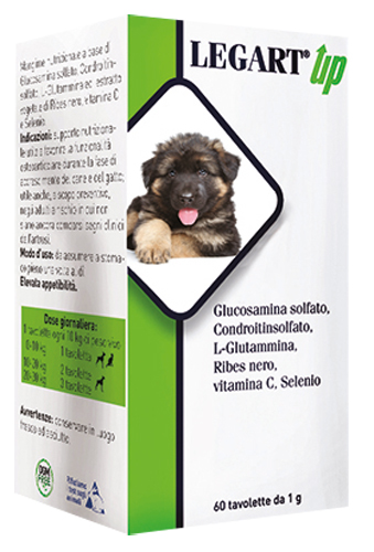LEGART UP 60 COMPRESSE DA 1 G - Farmacia Del Monaco