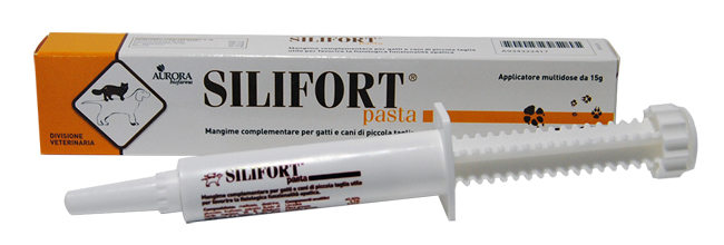 SILIFORT PASTA OS SIRINGA 15 G - Farmacia Del Monaco
