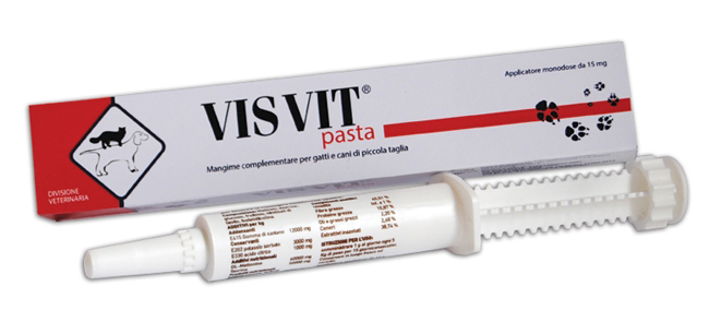 VISVIT PASTA OS SIRINGA 15 G - Farmacia Del Monaco