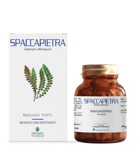SPACCAPIETRA 50 CAPSULE - Farmacia Del Monaco