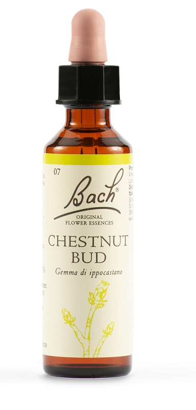CHESTNUT BUD BACH ORIG 20 ML - Farmacia Del Monaco