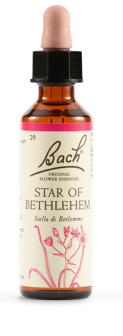 STAR OF BETHL ORIG 20 ML - Farmacia Del Monaco