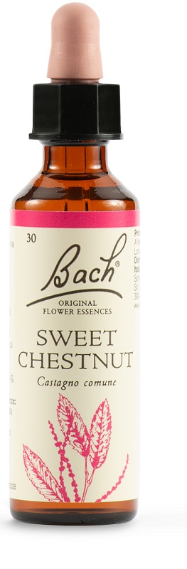 SWEET CHEST BACH ORIG 20 ML - Farmacia Del Monaco