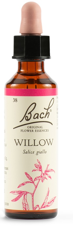 WILLOW BACH ORIG 20 ML - Farmacia Del Monaco