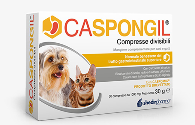 CASPONGIL 30 COMPRESSE DIVISIBILI - Farmacia Del Monaco