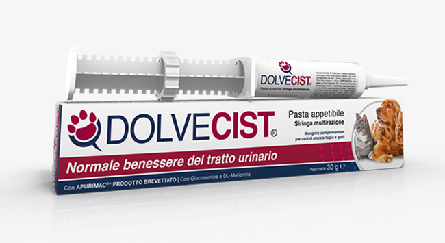 DOLVECIST PASTA SIRINGA 30 G - Farmacia Del Monaco