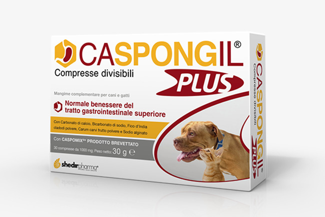 CASPONGIL PLUS 30 COMPRESSE - Farmacia Del Monaco