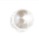 INVERNESS PERLA COL CREMA R587 - Farmacia Del Monaco