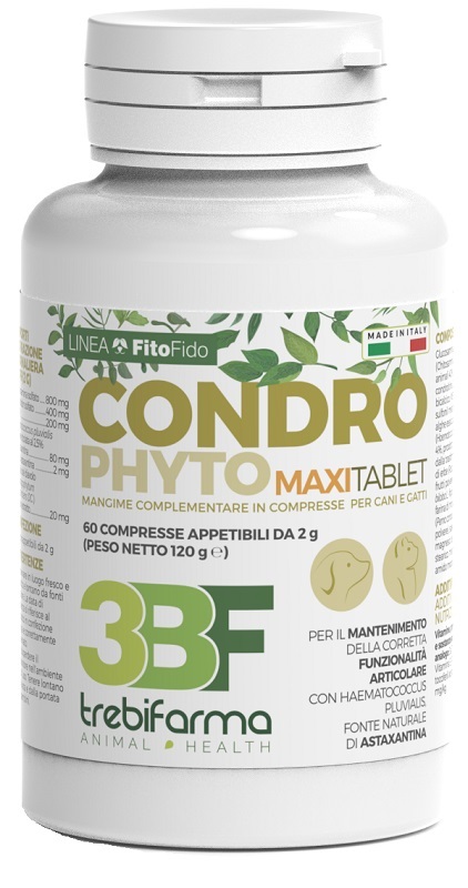 CONDROPHYTO 60 COMPRESSE 2 G - Farmacia Del Monaco