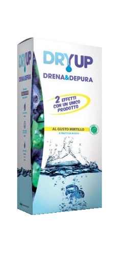 DRYUP MIRTILLO 300 ML - Farmacia Del Monaco