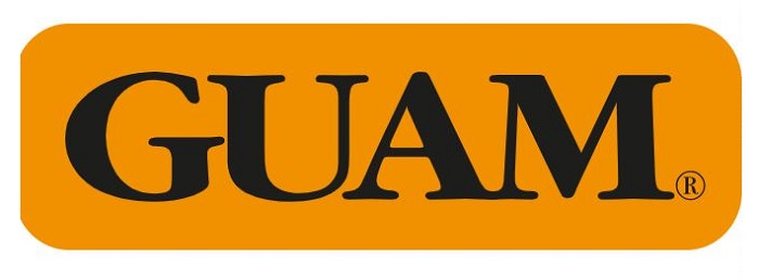 GUAM PANTY VENTRE PIATTO SNELLENTE XS-S 38-40 - Farmacia Del Monaco