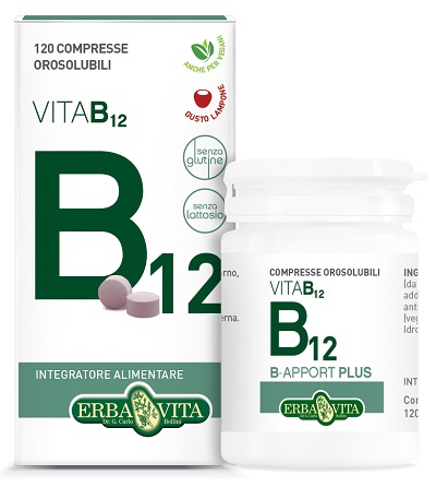B APPORT VITAMINA B12 120 COMPRESSE OROSOLUBILI - Farmacia Del Monaco