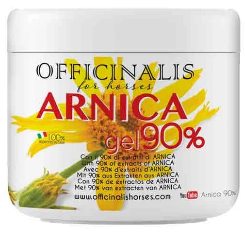 ARNICA GEL 90% 500 ML - Farmacia Del Monaco