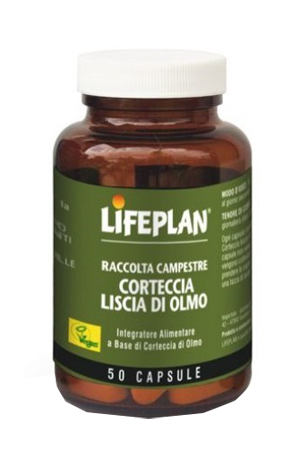 CORTECCIA LISCIA DI OLMO 50 CAPSULE - Farmacia Del Monaco