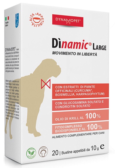 DINAMIC LARGE 20 BUSTINE 10 G - Farmacia Del Monaco