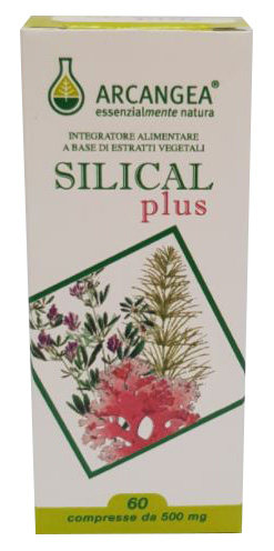 SILICAL PLUS 60 COMPRESSE - Farmacia Del Monaco